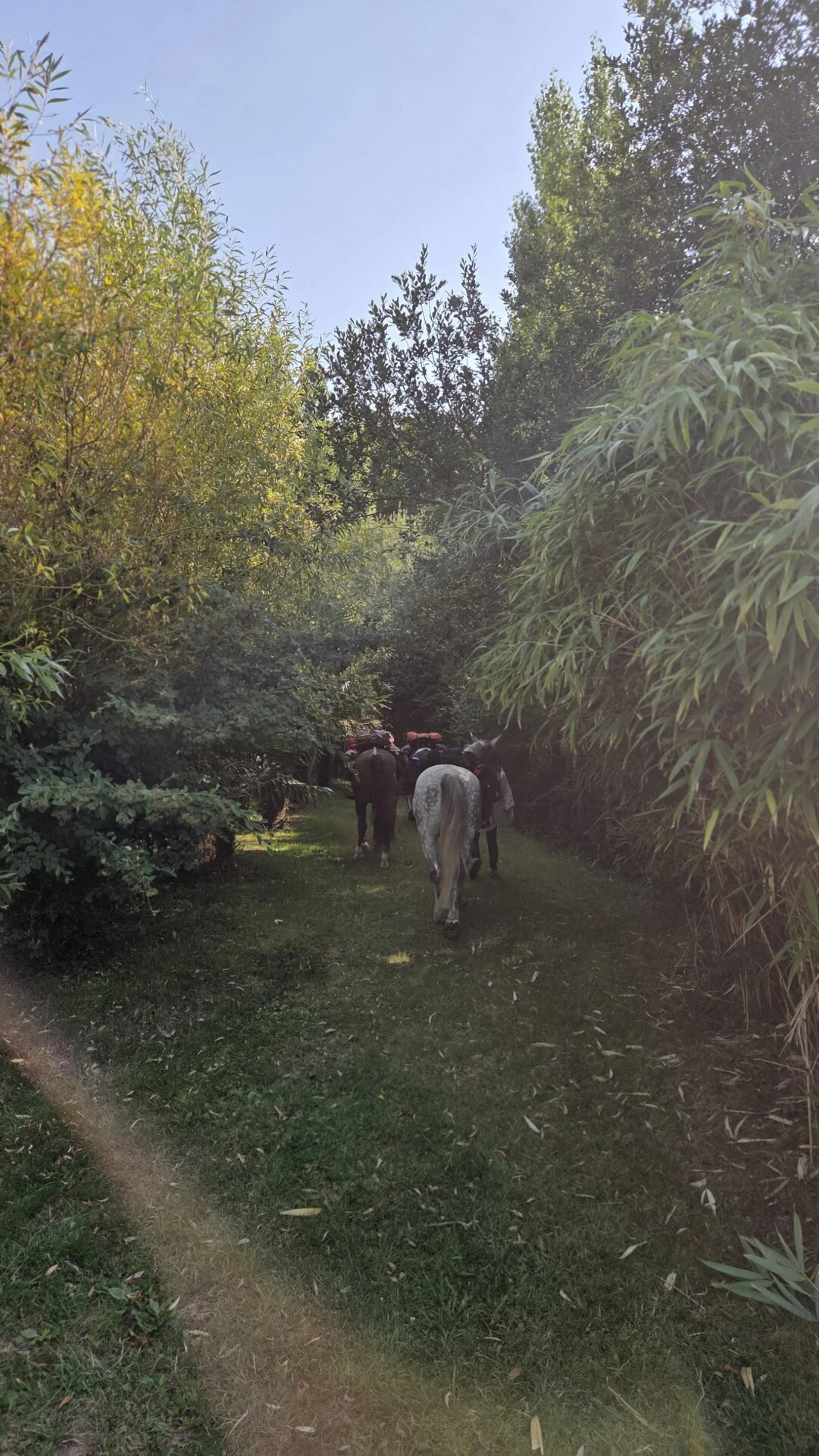 Espace détente chevaux nature - Domaine de l'Entre-Deux Plévenon Bretagne